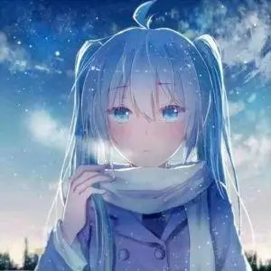 用户旧相机头像